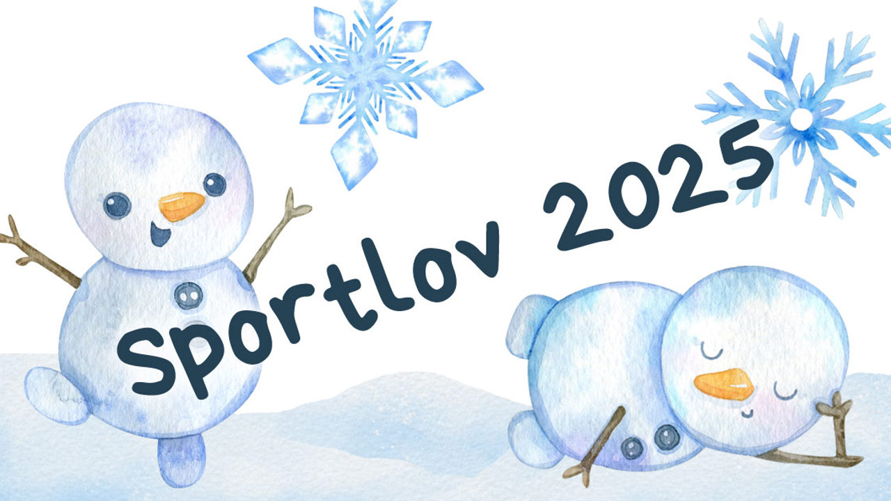 Sportlovsprogram 2025 Puff